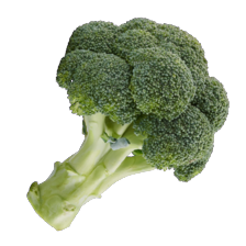 Broccoli